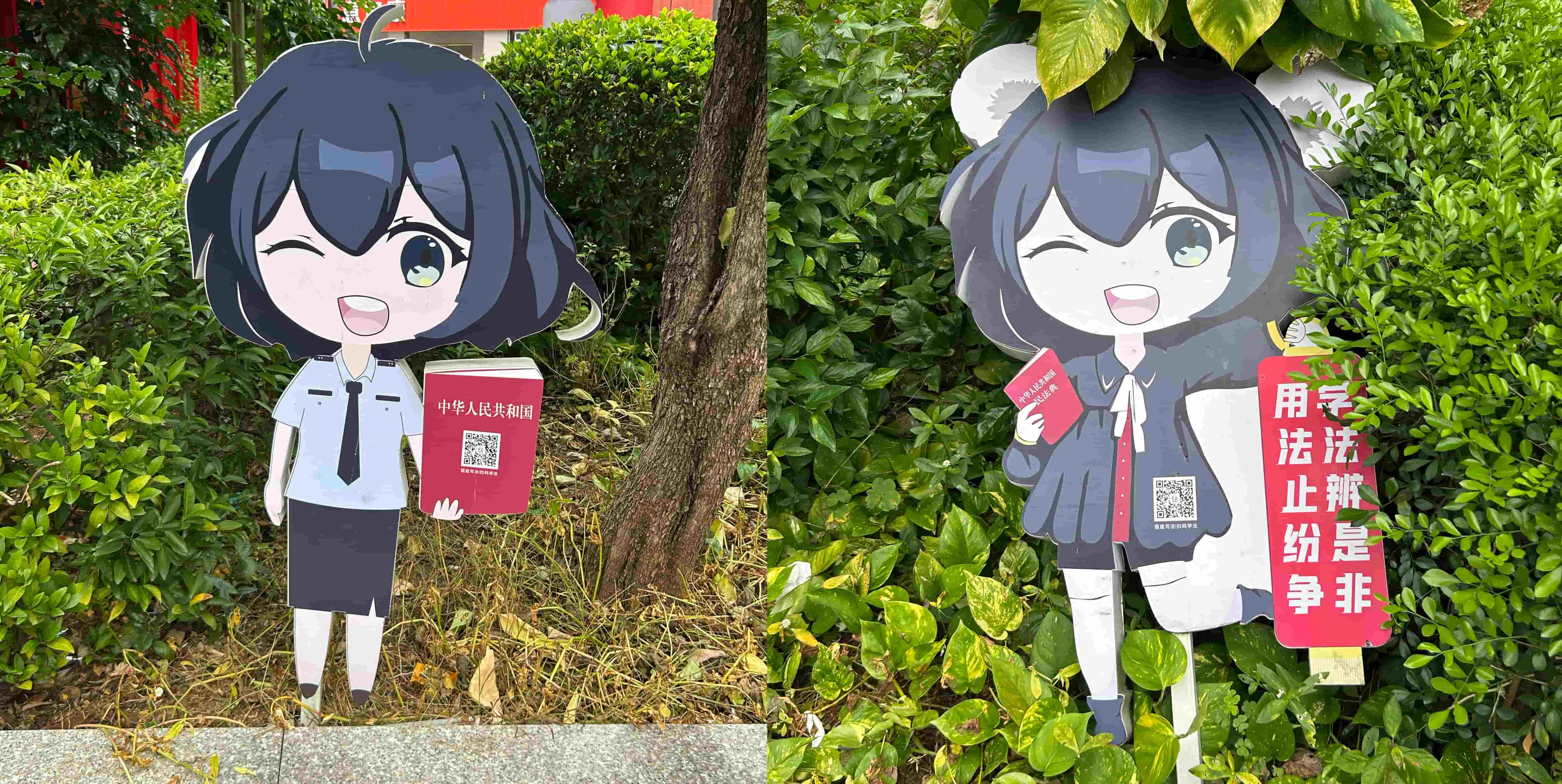 law_girls